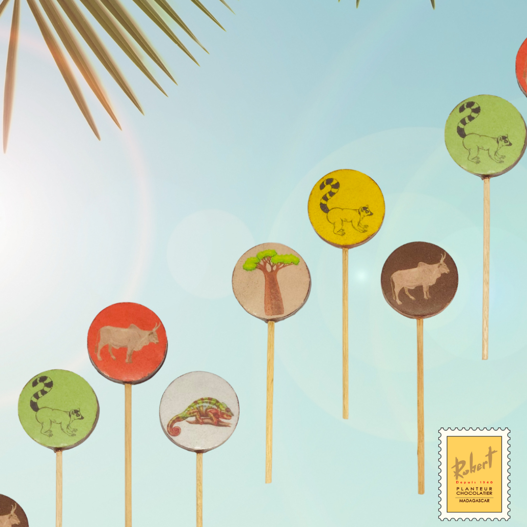 [SUC2] Sucette "Voyage à Madagascar" en chocolat Noir 70% Cacao